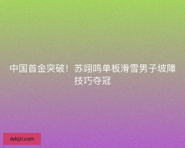 中国首金突破！苏翊鸣单板滑雪男子坡障技巧夺冠